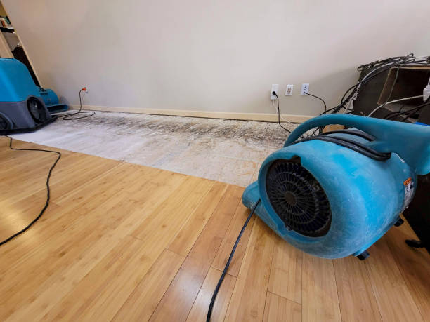 Professional Burst Pipe Water Damage technician working in Wakefield, MA